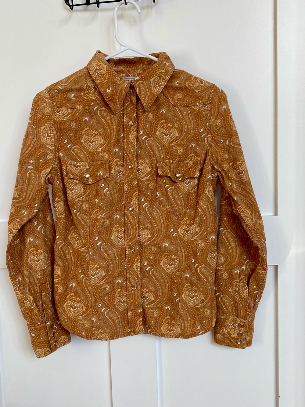 Retro Arizona Jean Company Paisley Button-Up Shirt  in Warm Tan runs/Small